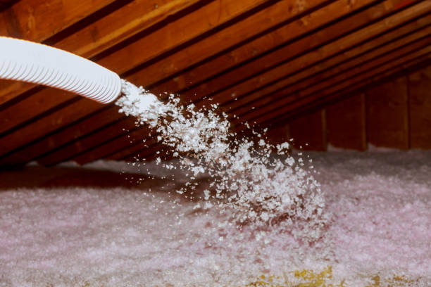 Best Specialized Insulation Services in Hudson Oaks, TX