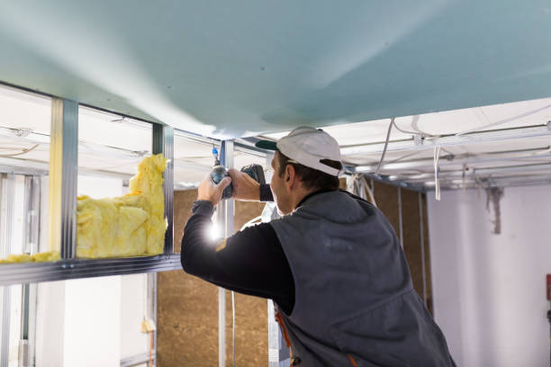 Best Blown-in Insulation in Hudson Oaks, TX