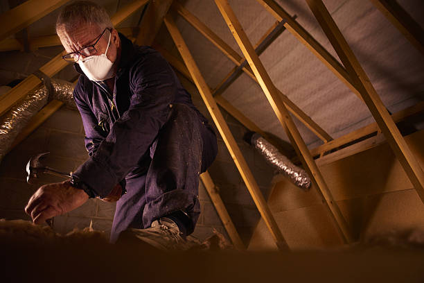 Professional Insulation Contractor in Hudson Oaks, TX