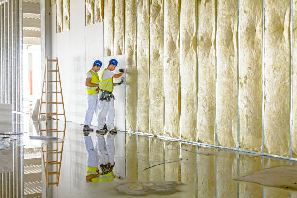 Best Commercial Insulation in Hudson Oaks, TX
